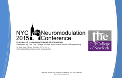 Frontiers of transcranial Electrical Stimulation International Symposium and Organization