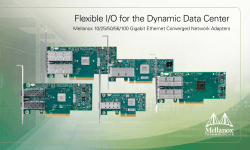 Flexible I/O for the Dynamic Data Center