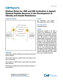 Distinct Roles for JNK and IKK Activation in Agouti-