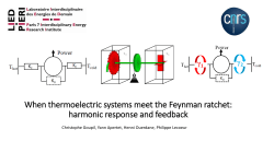 When thermoelectric systems meet the Feynman ratchet: harmonic response and feedback