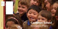 The Strategic Plan Caedmon School 17