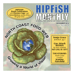 HIPFiSH MONTHLY h Co