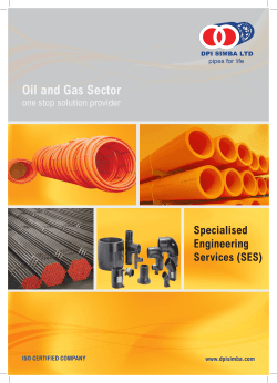 Oil and Gas Sector Specialised Engineering Services (SES)