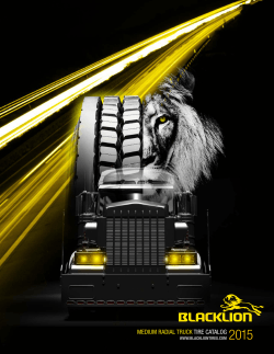 2015 MEDIUM RADIAL TRUCK TIRE CATALOG WWW.BLACKLIONTIRES.COM