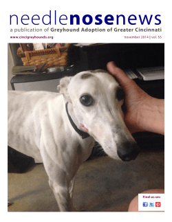 nose Greyhound Adoption of Greater Cincinnati 1 www.cincigreyhounds.org