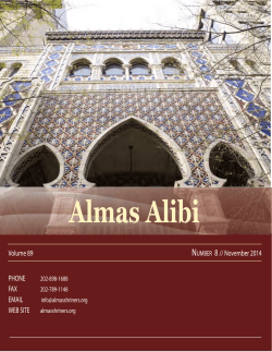 Almas Alibi N  8