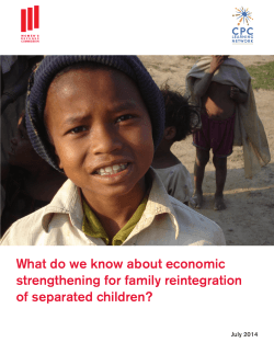 What do we know about economic strengthening for family reintegration July 2014