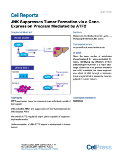 JNK Suppresses Tumor Formation via a Gene- Article Graphical Abstract
