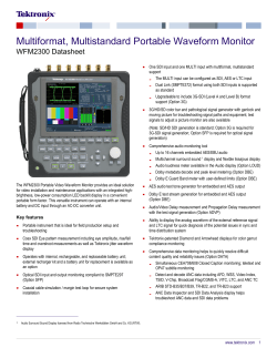 Multiformat, Multistandard Portable Waveform Monitor WFM2300 Datasheet