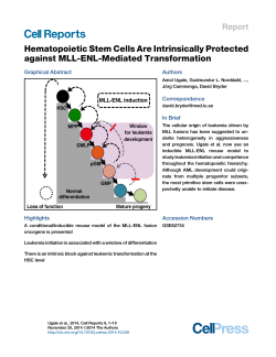 Hematopoietic Stem Cells Are Intrinsically Protected against MLL-ENL-Mediated Transformation Report Graphical Abstract