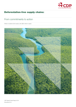 Deforestation-free supply chains: From commitments to action