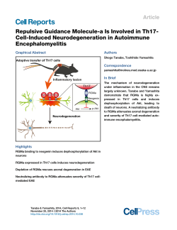 Repulsive Guidance Molecule-a Is Involved in Th17- Cell-Induced Neurodegeneration in Autoimmune Encephalomyelitis
