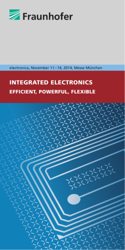 INTEGRATED ELECTRONICS EFFICIENT, POWERFUL, FLEXIBLE 1
