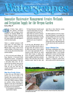 T Innovative Wastewater Management Creates Wetlands Volume 14, Number 2 Summer 2003