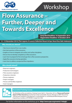 Flow Assurance – Further, Deeper and Towards Excellence Workshop