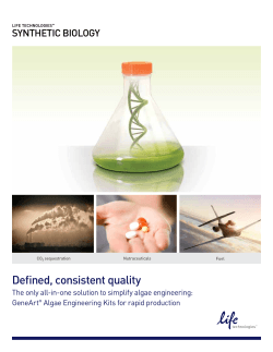 Defined, consistent quality SYNTHETIC BIOLOGY