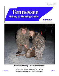 FREE! It’s Deer Hunting Time In Tennessee! FREE