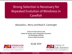 Strong Selection is Necessary for Repeated Evolution of Blindness in Cavefish