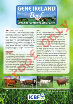 What is Gene Ireland Beef? 2014-