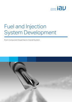 Fuel and Injection System Development From Component Expertise to Overall System