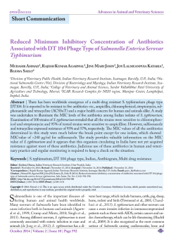Short Communication Reduced Minimum Inhibitory Concentration of Antibiotics Salmonella Enterica Serovar M