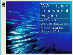WWF Fishery Improvement Projects WWF-Thailand