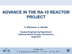 ADVANCE IN THE RA-10 REACTOR PROJECT
