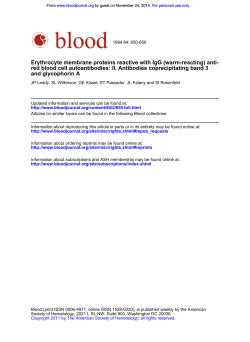 Erythrocyte membrane proteins reactive with IgG (warm-reacting) anti-