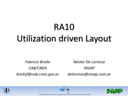 RA10 Utilization driven Layout Fabricio Brollo Néstor De Lorenzo