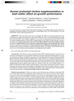 Rumen protected choline supplementation in beef cattle: effect on growth performance