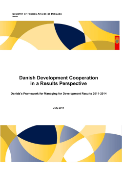 Danish Development Cooperation in a Results Perspective