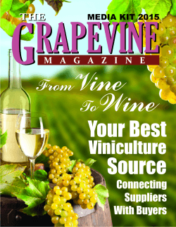 G RAPEVINE Vine Wine