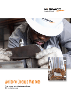 Wellbore Cleanup Magnets Fit-for-purpose suite of high-capacity ferrous debris extraction tools