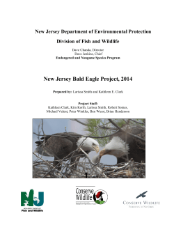 New Jersey Bald Eagle Project, 2014 Division of Fish and Wildlife