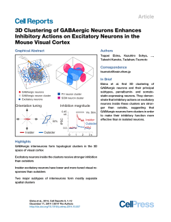 3D Clustering of GABAergic Neurons Enhances Mouse Visual Cortex