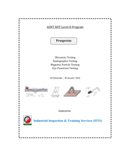 Prospectus Industrial Inspection &amp; Training Services (IITS) en ASNT NDT Level II Program