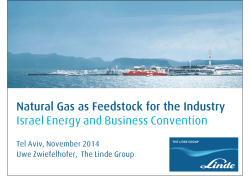Natural Gas as Feedstock for the Industry Tel Aviv, November 2014
