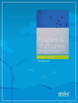 Eagles &amp; Vultures DTBIRD® SYSTEM BIRD MONITORING AND MORTALITY