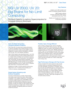 SGI UV 2000, UV 20: Big Brains for No