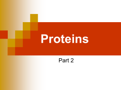 Proteins - MATERI KULIAH PANGAN