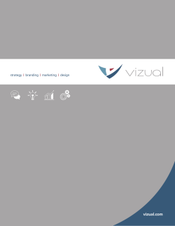 firm profile - Vizual, Inc.