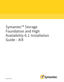 Symantec™ Storage Foundation and High Availability 6.1