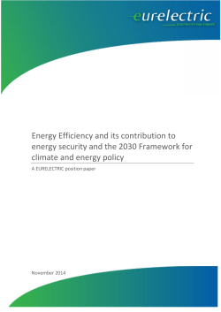Energy Efficiency and its contribution to energy security