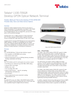Tellabs 1100-705GR Desktop GPON ONT
