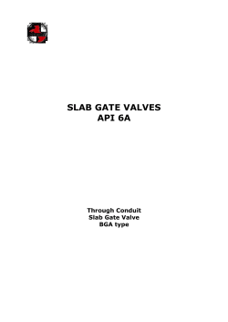 SLAB GATE VALVES API 6A