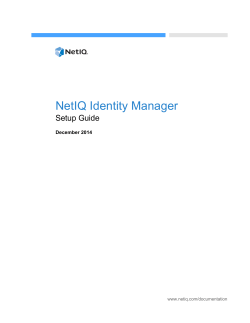 NetIQ Identity Manager Setup Guide