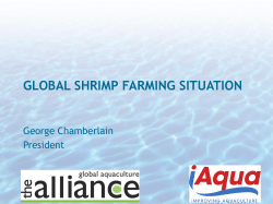 GLOBAL SHRIMP FARMING SITUATION