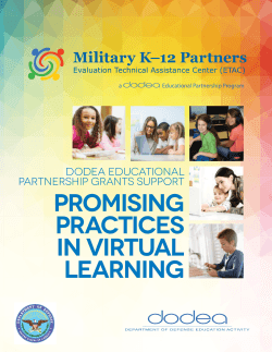 Promising Practices in Virtual Learning