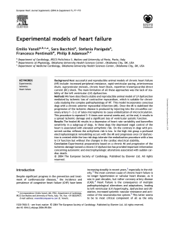 Experimental models of heart failure
