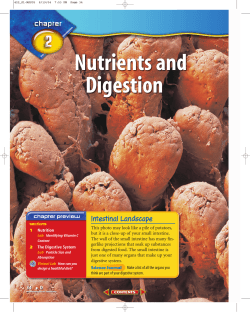 D: Chapter 2: Nutrients and Digestion